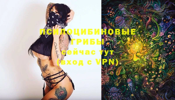 MESCALINE Горняк